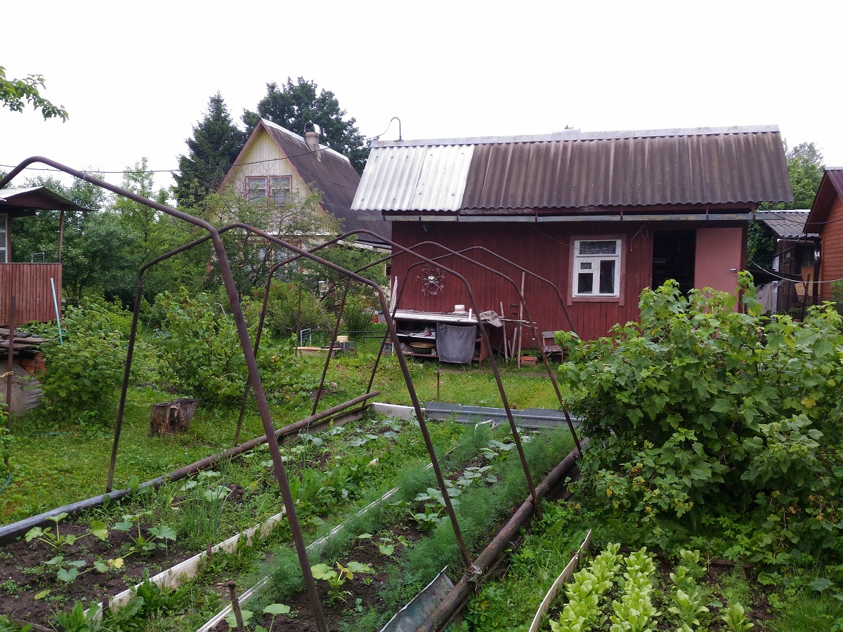 Купить садовый дом на Новорижском шоссе в СНТ Конструктор-2 вблизи деревни Матрёнино Волоколамского округа Московской области.